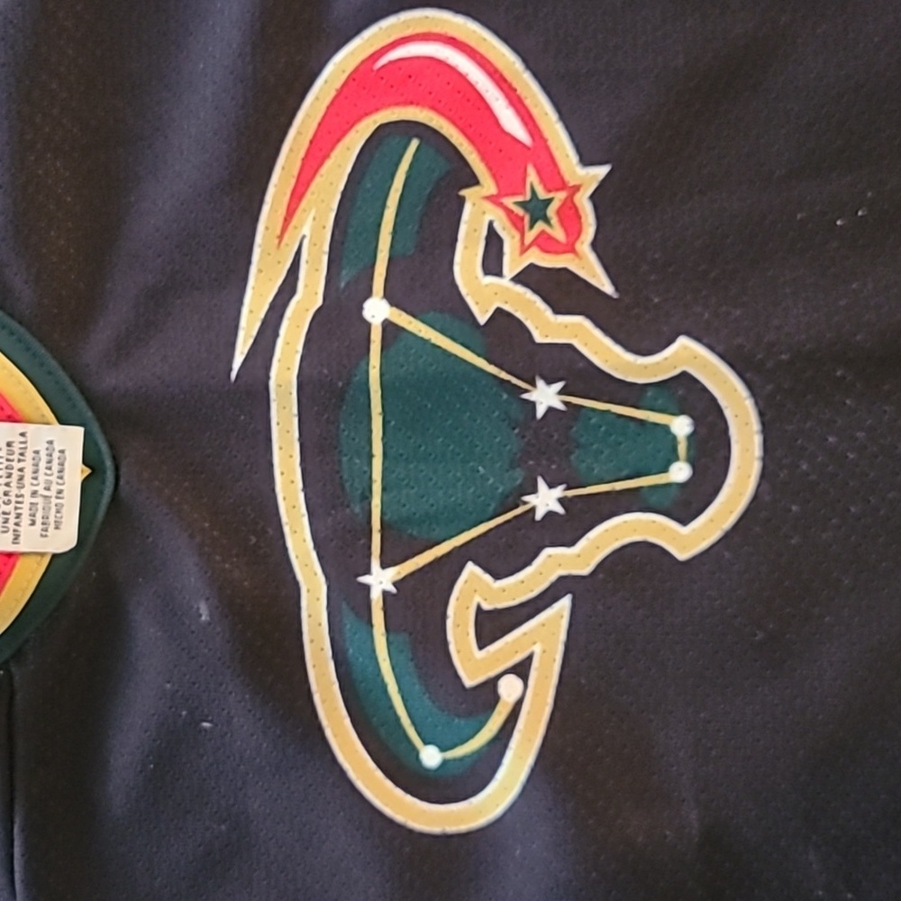 Vintage NHL Dallas Stars Hockey Jersey Authentic
